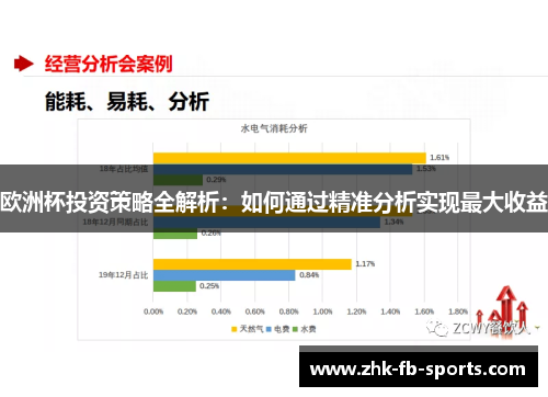 欧洲杯投资策略全解析：如何通过精准分析实现最大收益
