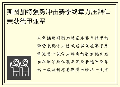 斯图加特强势冲击赛季终章力压拜仁荣获德甲亚军